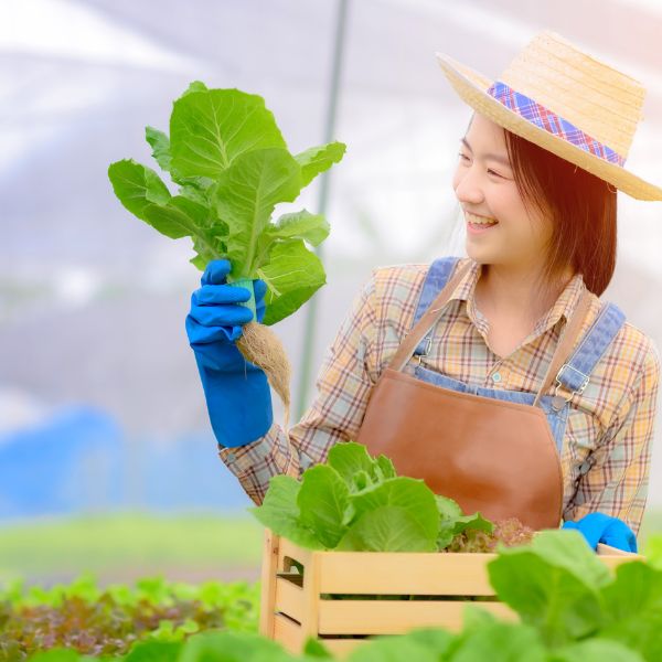 Cultivado orgánicamente